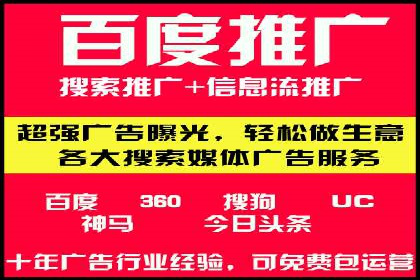 百度竞价排名之成功案例：看广告如何转化为销量